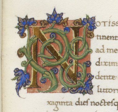 an illuminated initial decorated with vines and leaves in a medieval style, from a manuscript