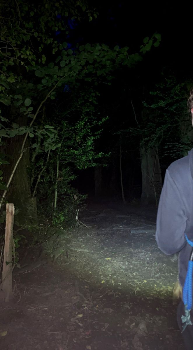 a man is standing in the woods at night