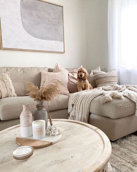 a living room with a couch, coffee table and dog sitting on the couches