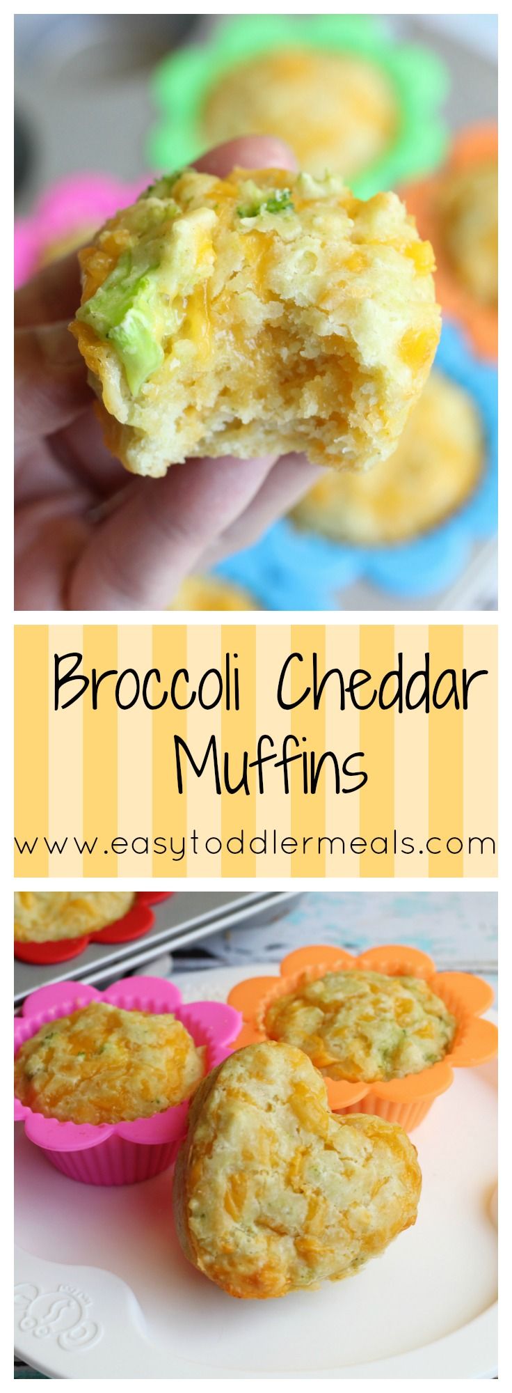 broccoli cheddar muffins on a plate with the title above it