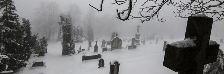 a cemetery in the snow with lots of tombstones and trees covered in heavy snow