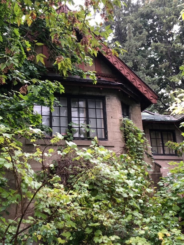 an old house is surrounded by greenery and trees