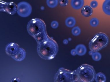 an image of some bubbles floating in the air