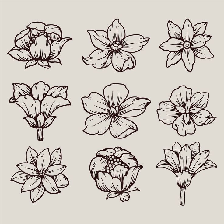 different types of flowers drawn in black and white