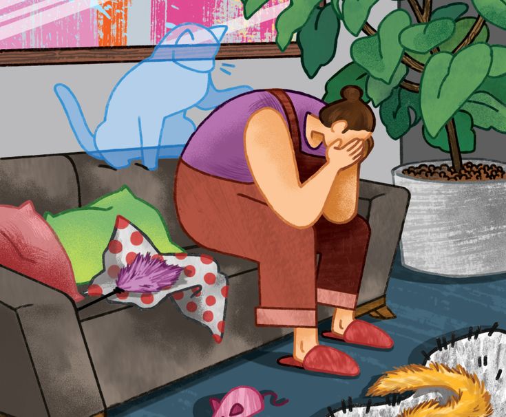 a person sitting on a couch in front of a cat and a potted plant