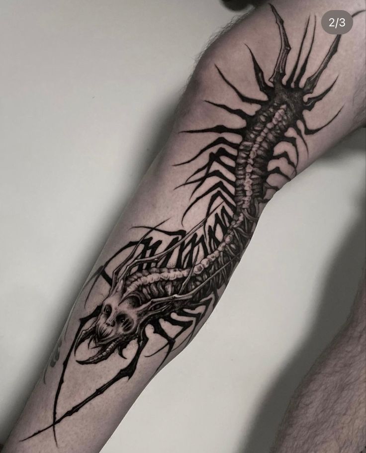 a man's arm with a tattoo on it and a dragon in the middle