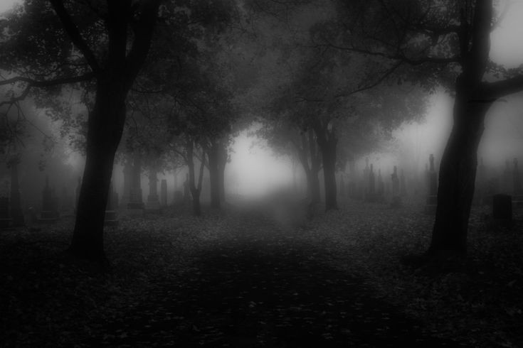 black and white photo of foggy graveyard with trees in the foreground at night