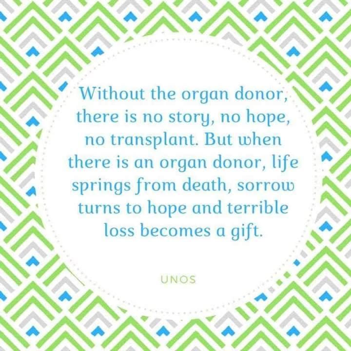 Organ Donor Poster, Organ Transplant Quotes, Organ Donor Quotes, Organ Donation Poster, Donation Poster, Kidney Transplantation Quotes, Organ Donation Quotes, Kidney Awareness, Organ Donation Slogans