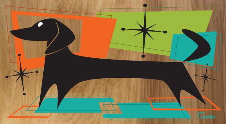 a black dog standing on top of a wooden floor next to an abstract design with stars