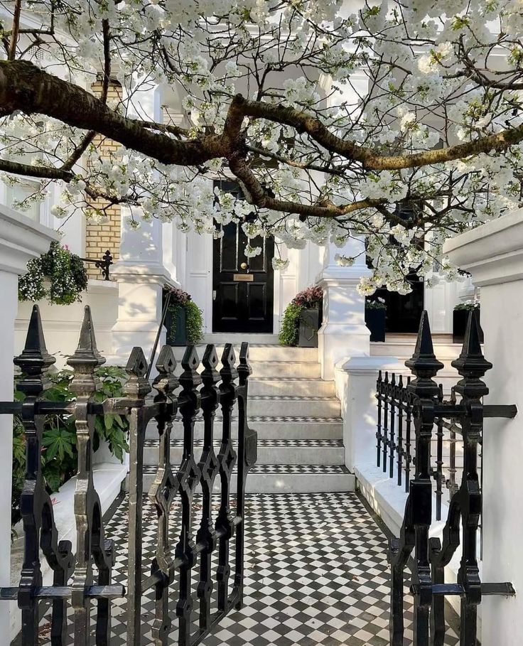 a black and white checkered tile floor next to a tree with white flowers on it