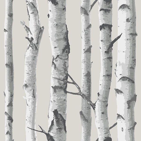 Birch Tree Peel And Stick Wallpaper - Window Film World Tree Peel And Stick Wallpaper, 자작나무 그림, Birch Tree Wallpaper, White Birch Trees, Birch Trees, 수채화 그림, Wood Wallpaper, Tree Wallpaper, Tree Forest