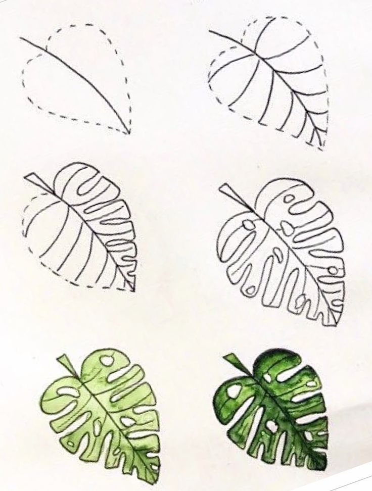 four different types of leaves drawn on paper with marker pens and pencils in front of them