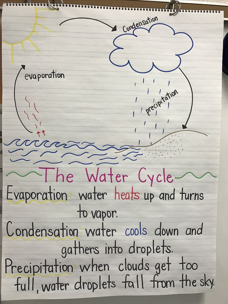 the water cycle is written on a piece of paper