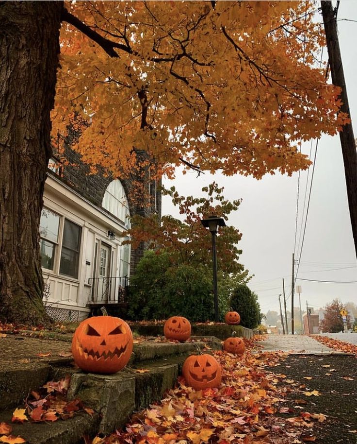 some pumpkins that are sitting on the ground in front of a tree and house