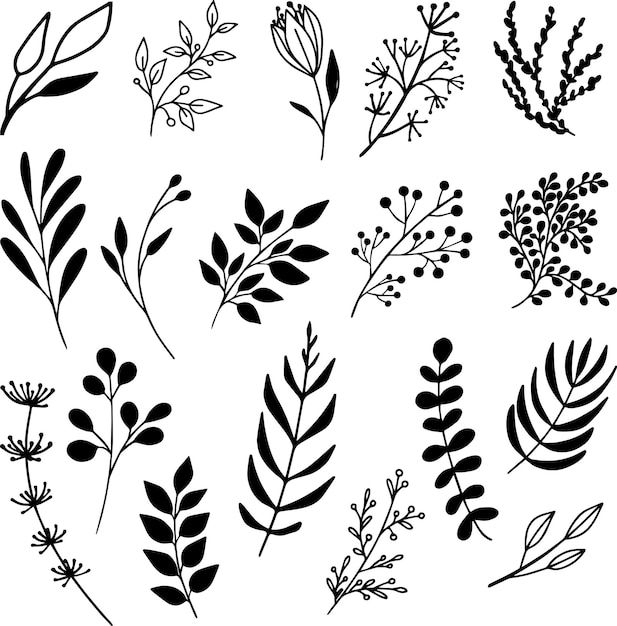 black and white silhouettes of different plants