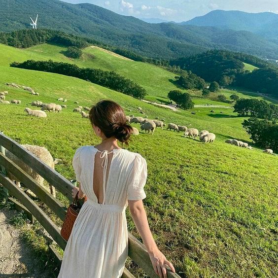 a woman in a white dress standing on a wooden fence looking out over a field with sheep