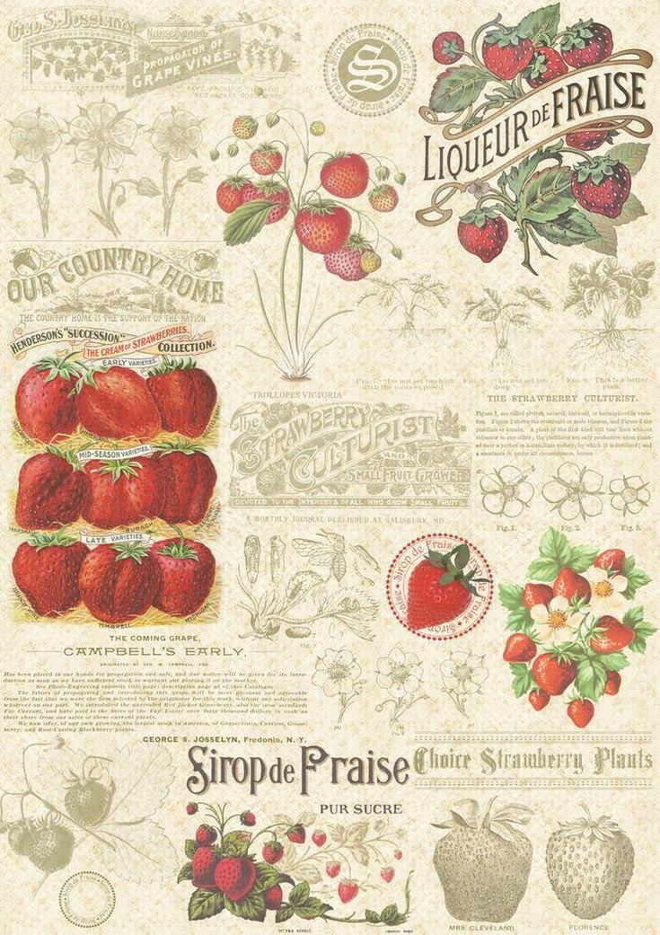 an old fashioned poster with strawberries and other fruit items on it's side