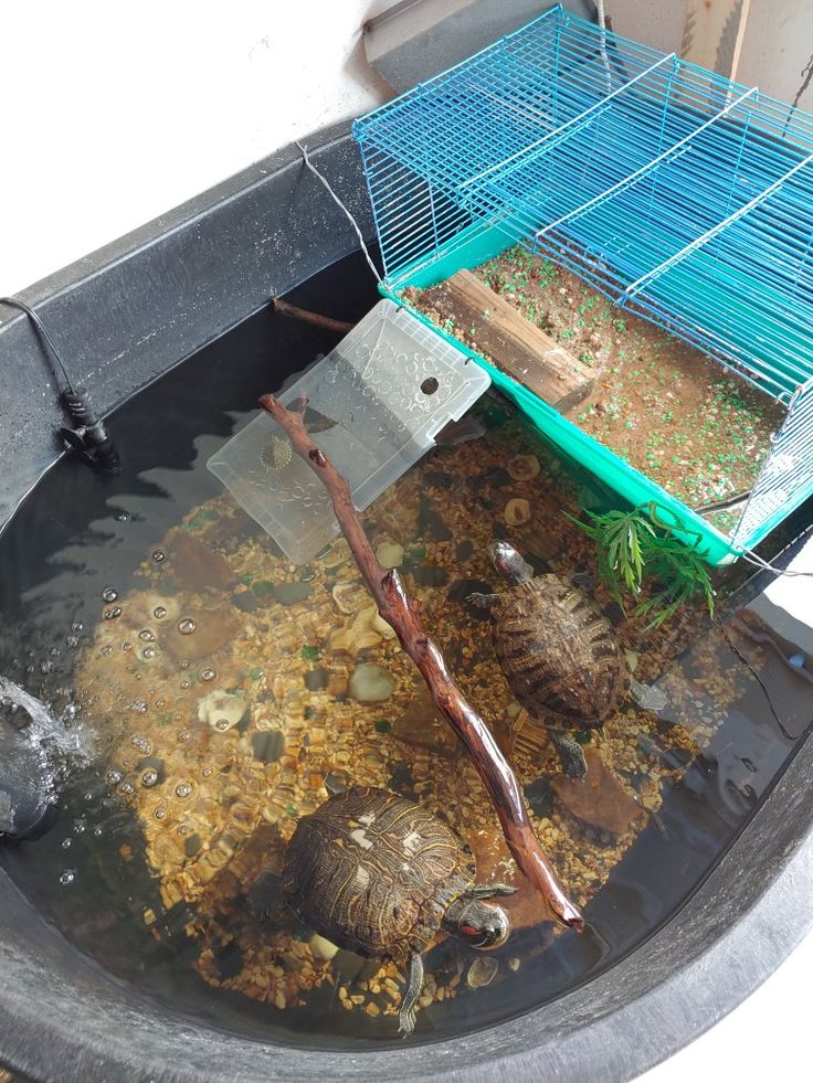 a bird cage is filled with water and birds in it's habitat, which includes two small cages