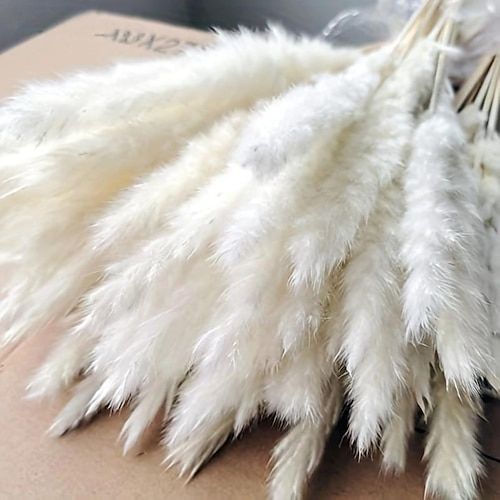 white feathers on top of a cardboard box