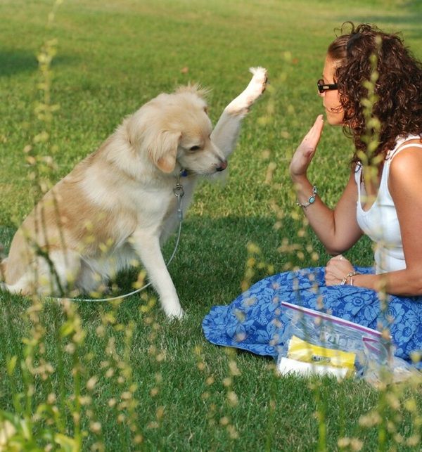 a woman sitting in the grass with her dog and giving it a high five sign