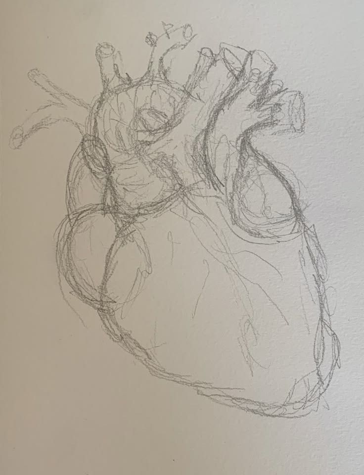 a drawing of a human heart on a white wall with no one in the photo