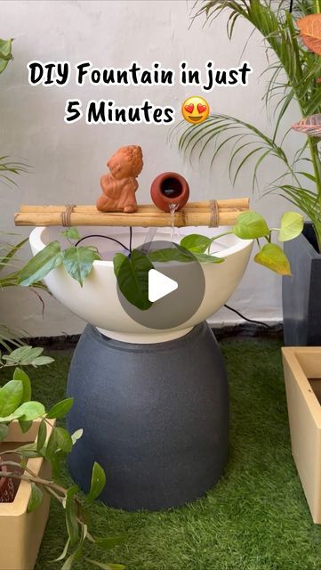 a potted plant sitting on top of a wooden table next to other pots and plants