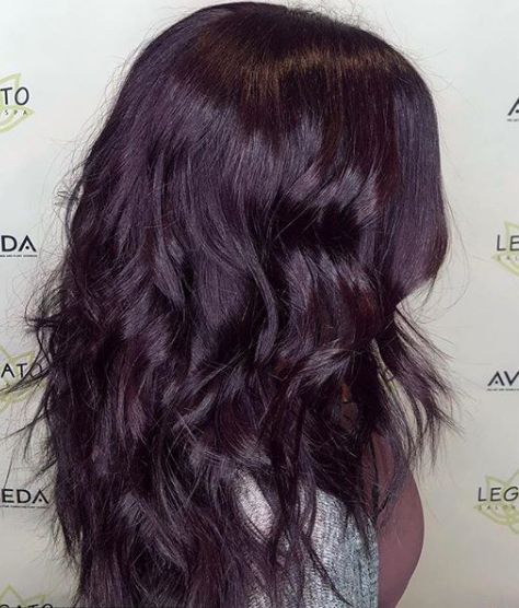 Super Dark Purple Hair, Dark Purple In Brown Hair, Purple Glaze Hair, Prune Hair Color, Dark Violet Hair Brown Deep Purple, Global Grape Hair Color, Dark Eggplant Hair Color, Dark Purple Plum Hair, Purple Hair With Black Underneath