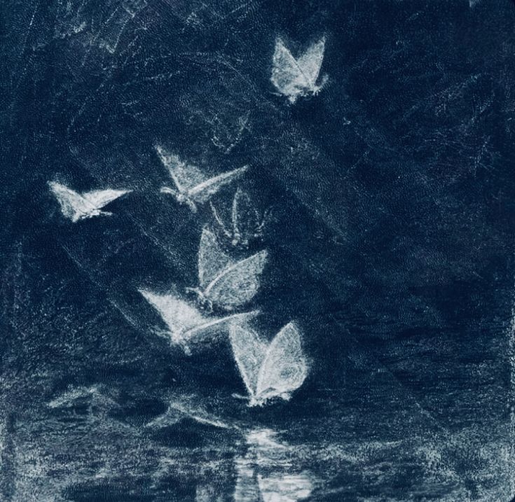 chalk drawing of butterflies flying over water