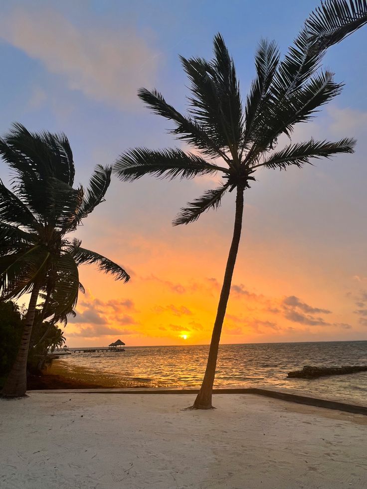 two palm trees on the beach at sunset