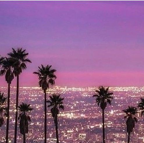 palm trees are silhouetted against the night sky in this cityscape photo taken from above