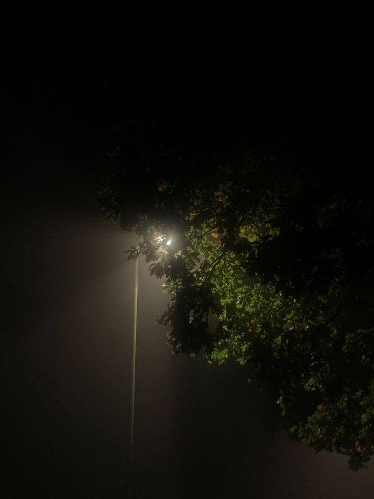 a street light is lit up at night in the foggy sky above some trees