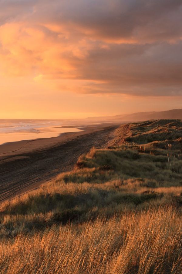 the sun is setting at the beach with tall grass