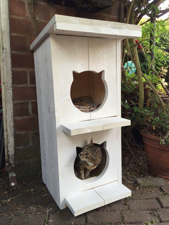 a cat in a wooden bird house on the ground