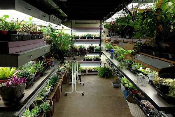 an indoor garden shop filled with lots of plants