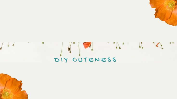 DIY Cuteness