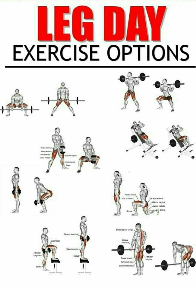 an exercise poster showing how to do the leg day