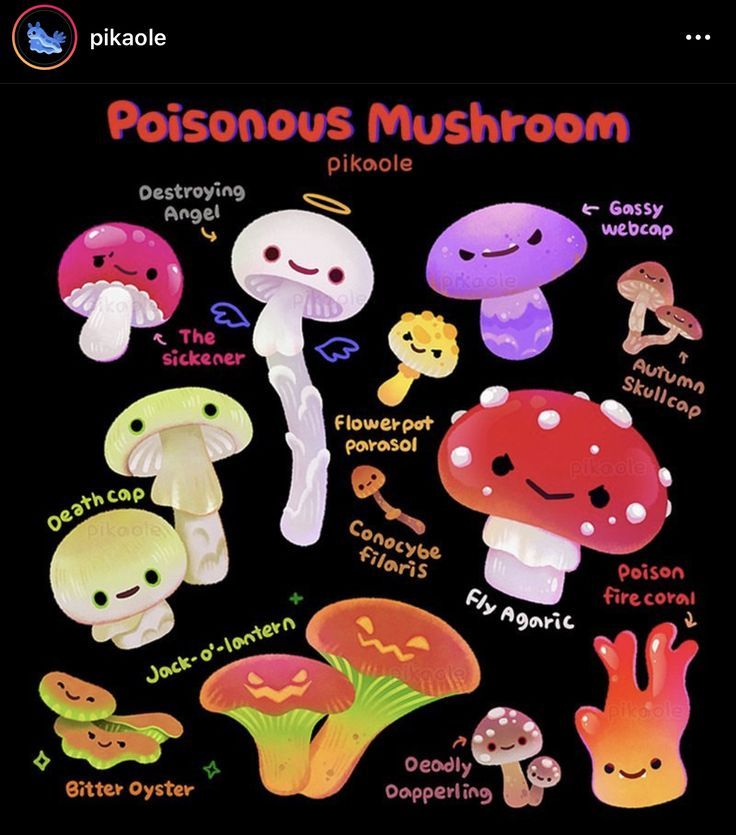 a poster with different types of mushrooms on it's black backgroung