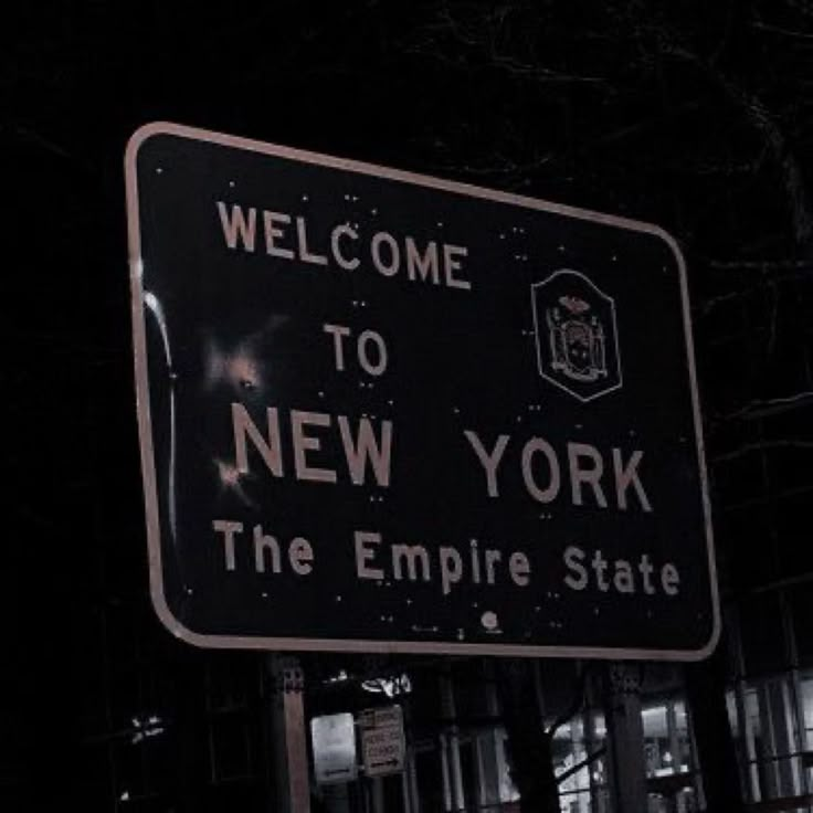 a street sign that says welcome to new york the empire state on it at night