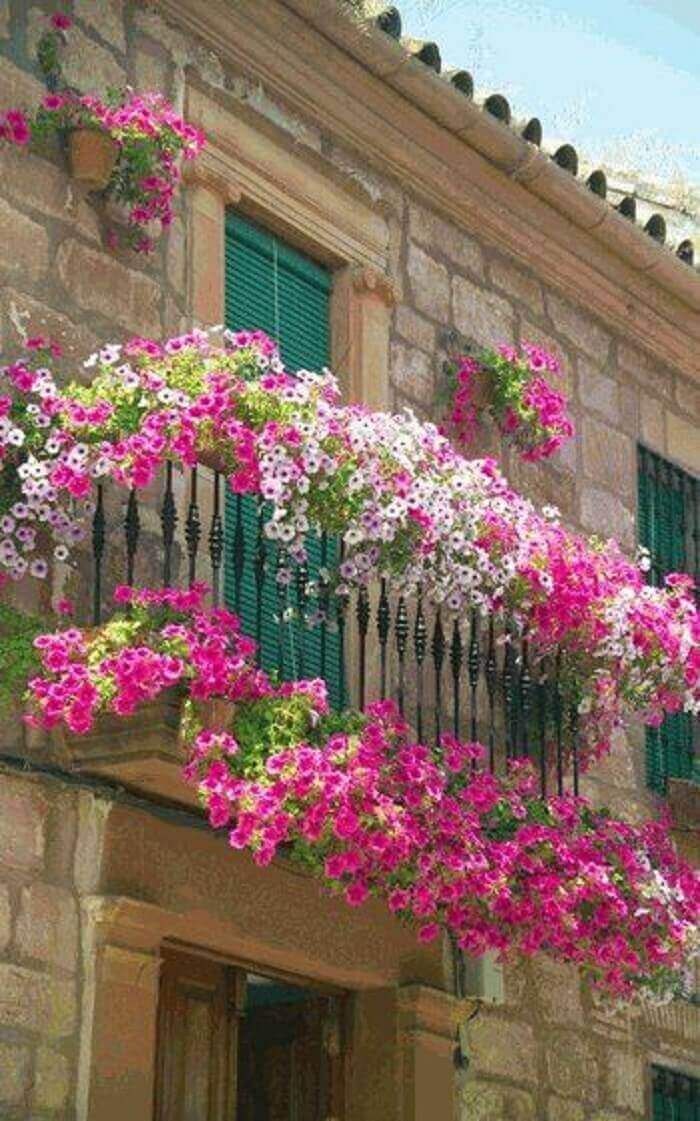 pink and white flowers hanging from the balcony of an old building