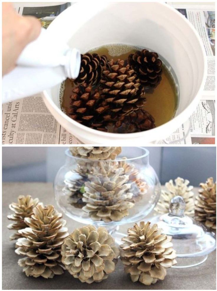 pine cones are being put into a bowl with water and then placed on top of each other