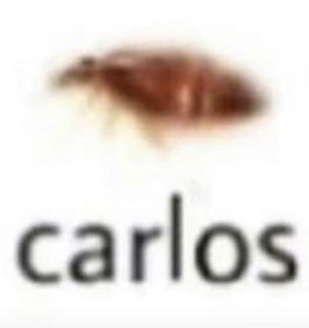 the word carlos is written in black and white with an image of a bug on it