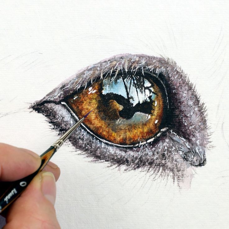 someone is drawing an eye with colored pencils and watercolor paints on white paper