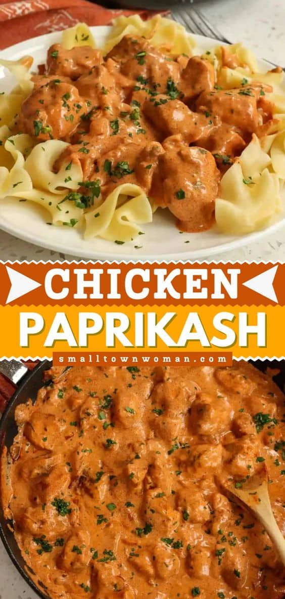 chicken paprikash in a skillet with pasta and sauce