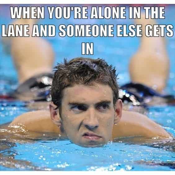 And then stands Talking!!!!! GRRRRRR!!!!!! Swimming Quotes Funny, Swimmer Memes, Swimming Jokes, Swim Quotes, Swimmer Girl Problems, Swimming Funny, Swimming Motivation, Swimming Memes, Alana Blanchard