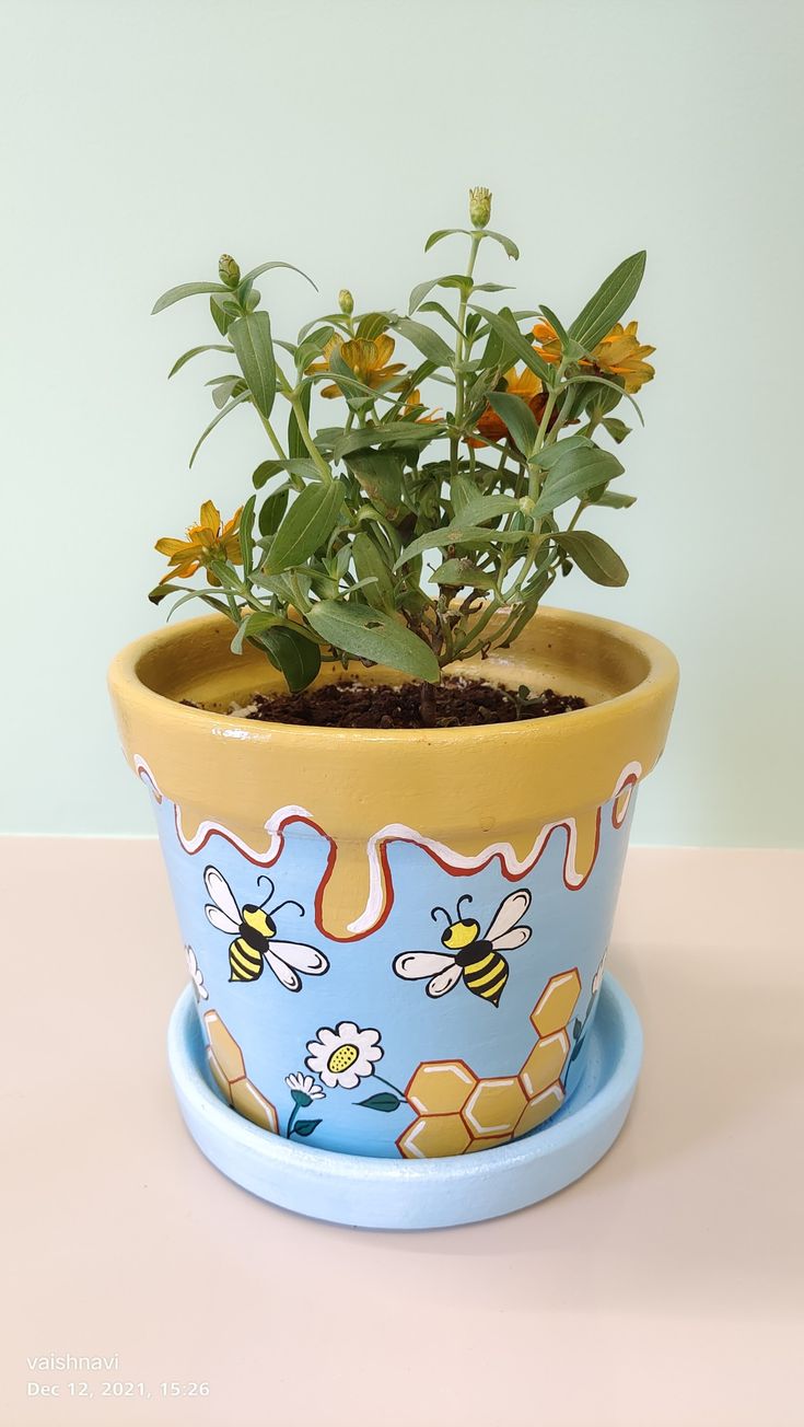 a potted plant sitting on top of a table next to a yellow and blue wall