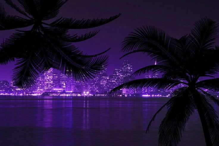 palm trees are silhouetted against the city skyline in this purple night time scene with lights reflecting on the water