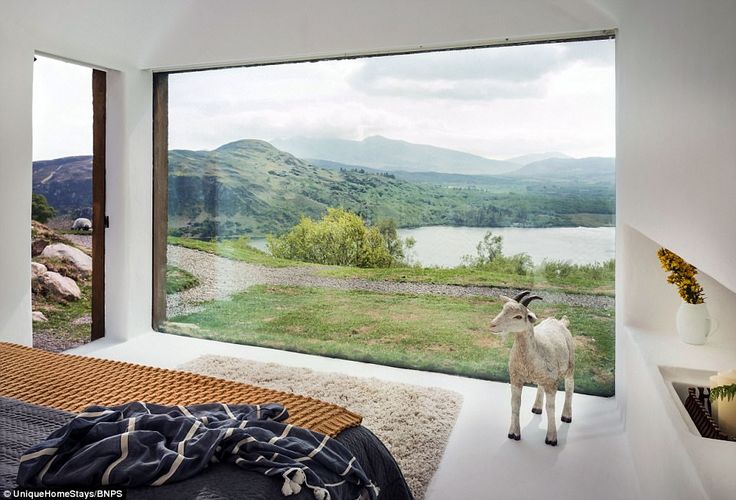 a goat standing in the middle of a bedroom looking out at a mountain valley and lake