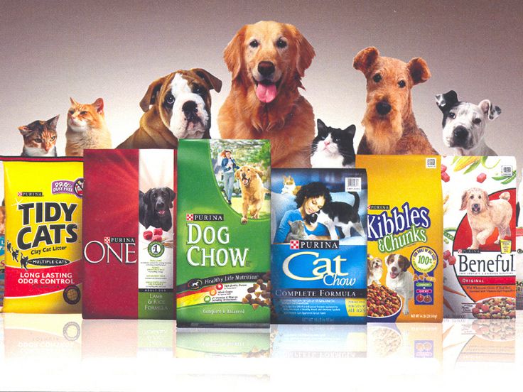 a group of dogs and cats standing next to each other in front of bags of food