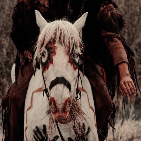 a man riding on the back of a white horse