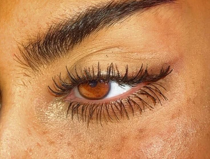 a woman with long lashes and brown eyes